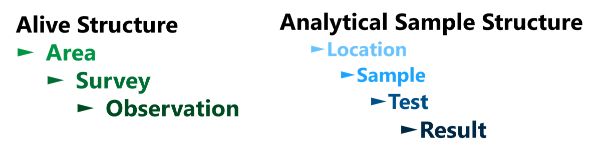 Alive_Structure